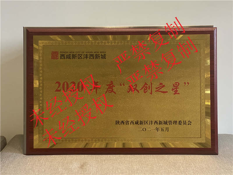 陜西秒康醫(yī)療西咸新區(qū)2020年度雙創(chuàng)之星